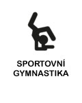 Sportovní gymnastika