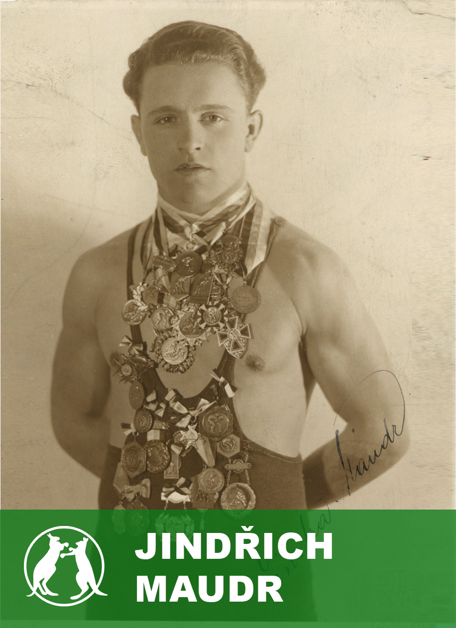 Jindřich Maudr